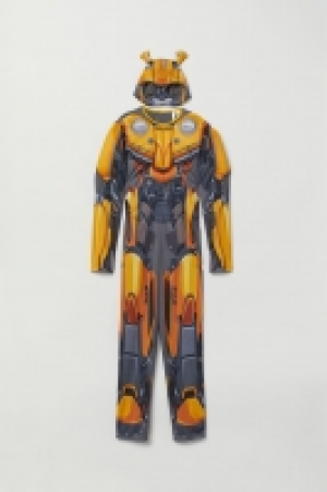  Fancy dress costume 18.00 €