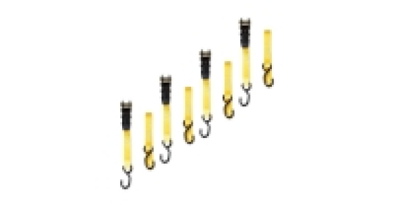 25mm Ratchet Tie Down Set