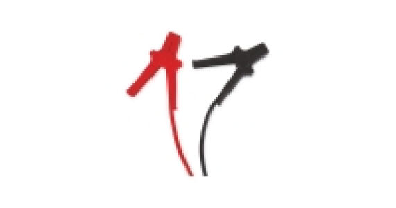 Car Jump Leads 12.99 €