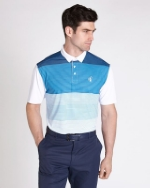 Dunnes Stores  Pádraig Harrington Print Stripe Polo (UPF 50)