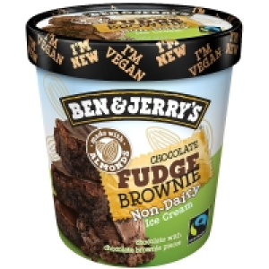 Ben & Jerrys Dairy Free Choc Fudge Brownie
