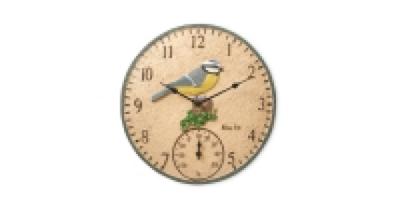 Aldi  Blue Tit Outdoor Wall Clock