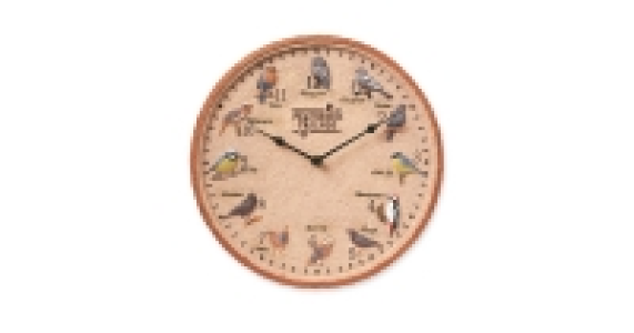 Feathered Friends Outdoor Wall Clock