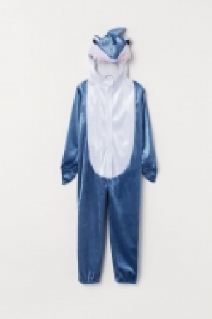  Fancy dress costume 20.00 €