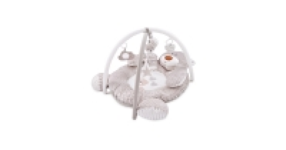 Baby Play Gym