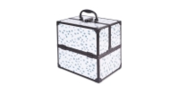 Dalmatian Avenue Vanity Case Smooth