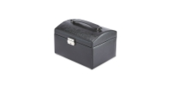 Avenue Jewellery Case