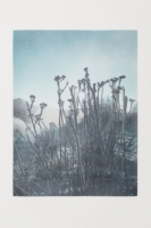  Poster 5.99 €