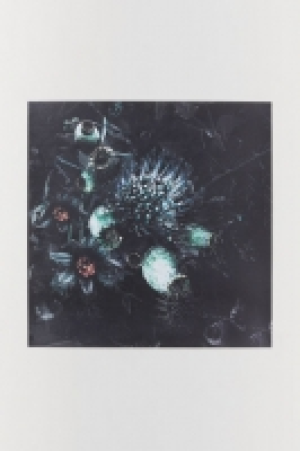  Poster 4.99 €