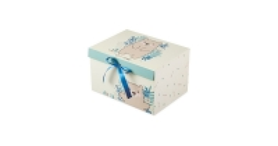 Bear Memory Box