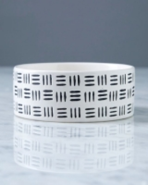Helen James Considered Pet Bowl