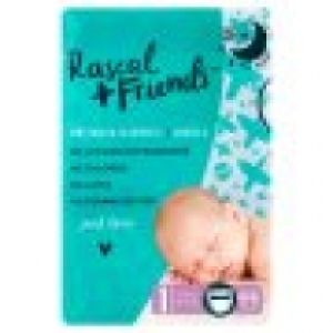 Rascal And Friends Essential Nappies 4.99 €