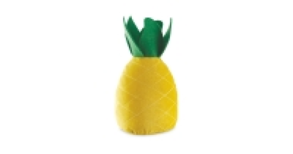 Aldi  Kirkton House Pineapple Doorstop