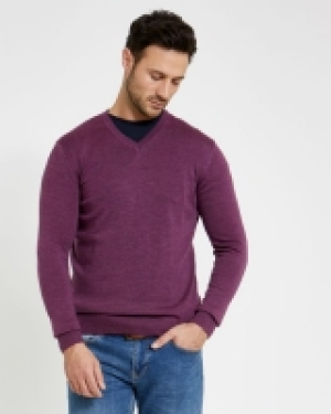 Dunnes Stores  Paul Costelloe Living Regular Fit Purple Merino V-Neck (Made