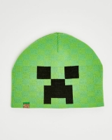 Dunnes Stores  Minecraft Hat