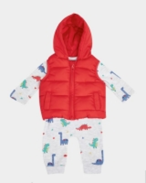 Dunnes Stores  Three-Piece Gilet Set (0-12 months)