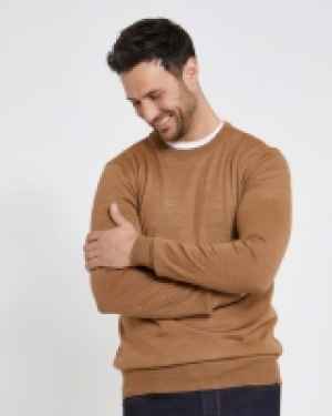 Dunnes Stores  Paul Costelloe Living Regular Fit Tan Merino Crew-Neck (Made