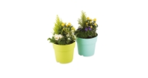 Large Spring Planter