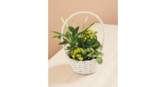 The Green Garden Easter Plant Basket