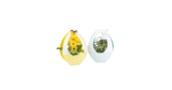 Easter Plant Gift Basket