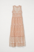HM   Embroidered tulle dress
