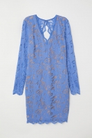 HM   Fitted lace dress