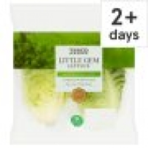 Tesco  Tesco Little Gem Lettuce Twin Pack