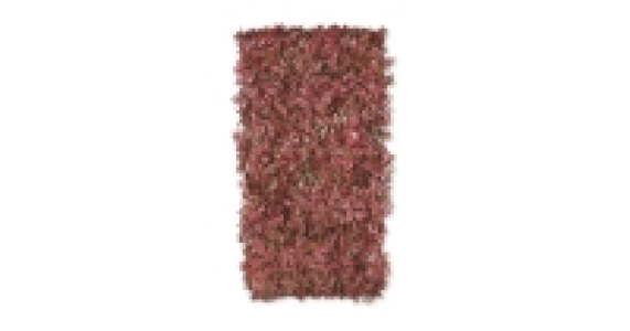 Red Acer Expanding Leaf Trellis
