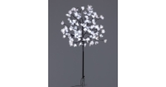 Solar Magnolia Tree