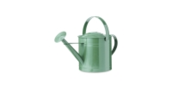 Green Round Metal Watering Can