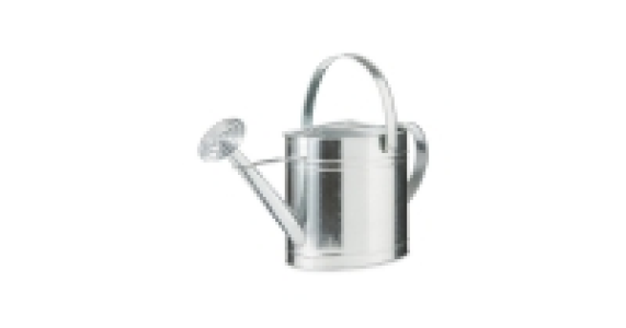 Silver Oval Metal Watering Can