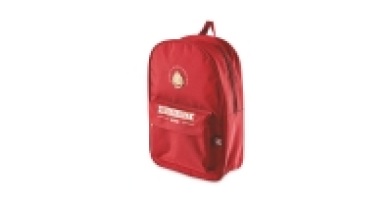Harry Potter Burgundy Backpack