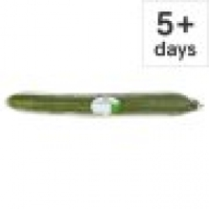Tesco Whole Cucumber Each 0.49 €