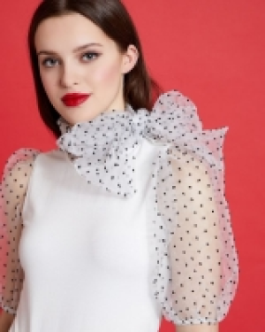 Savida Sheer Sleeved Tie Neck Top