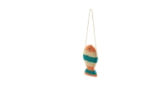 Aldi  Scratch & Play Coral Fish Cat Toy