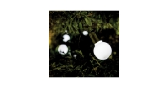 Noma 20 Solar Festoon String Lights