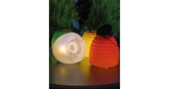 Solar Powered Wasp Catcher