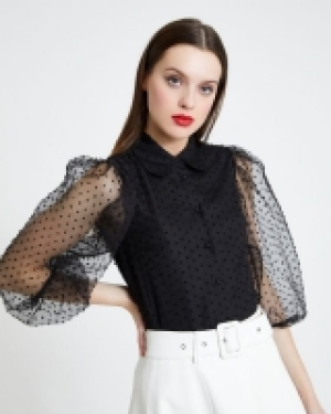 Dunnes Stores  Savida Sheer Collared Blouse