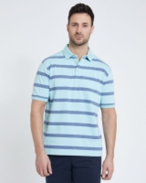 Dunnes Stores  Paul Costelloe Living Turquoise Melange Stripe Polo