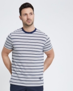Dunnes Stores  Paul Costelloe Living Stripe Crew Neck T-Shirt