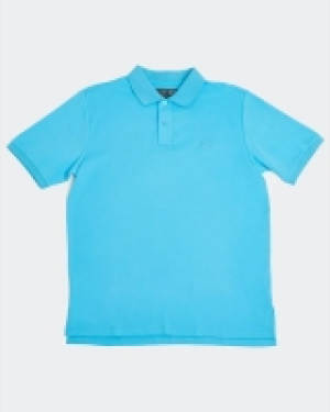 Dunnes Stores  Paul Costelloe Living Turquoise Pima Polo
