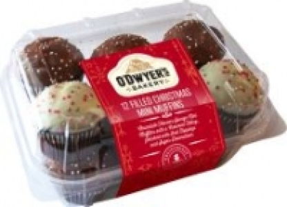 Odwyers Mini Christmas Muffin