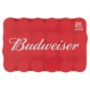 Tesco  Budweiser Can 24X500ml