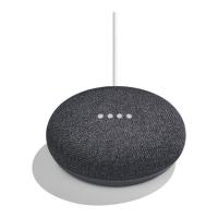 Joyces  Google Nest Mini Smart Speaker