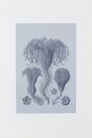 Poster 9.00 €