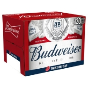 BUDWEISER BOTTLE PACK 20 X 300ML 16.00 €