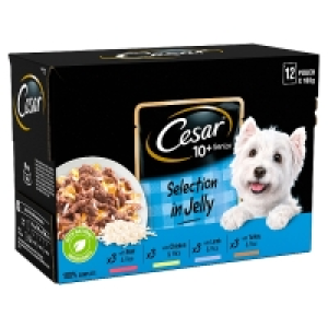 Cesar Pouch Selection In Jelly