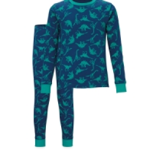 Childrens Blue Dinosaur Pyjamas