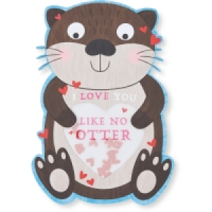 Large Valentines Day Cards/Bags
