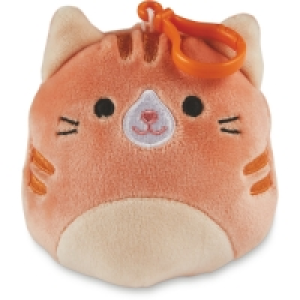 Aldi  Cat Squishmallow Keyring